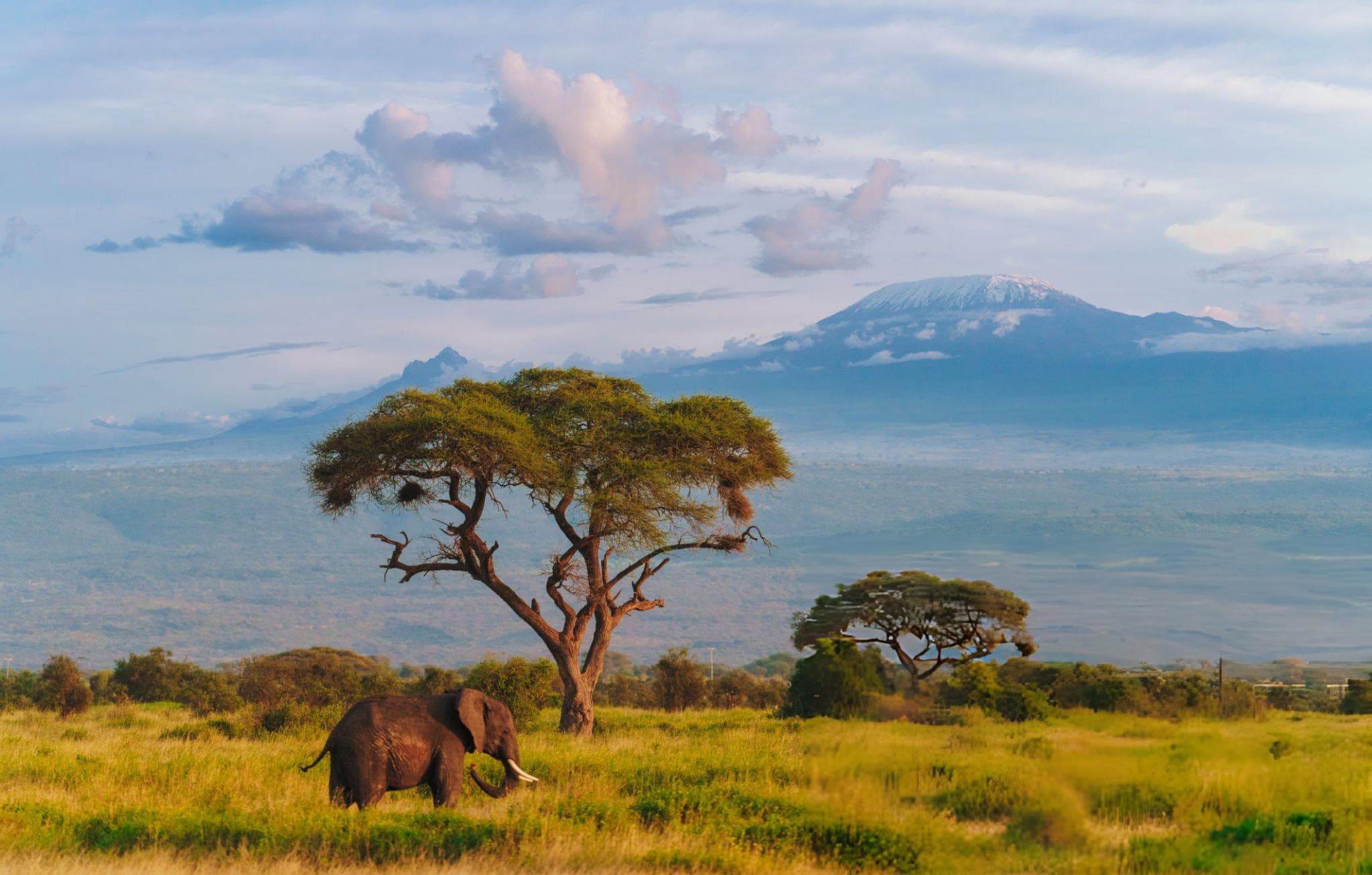 Amboseli